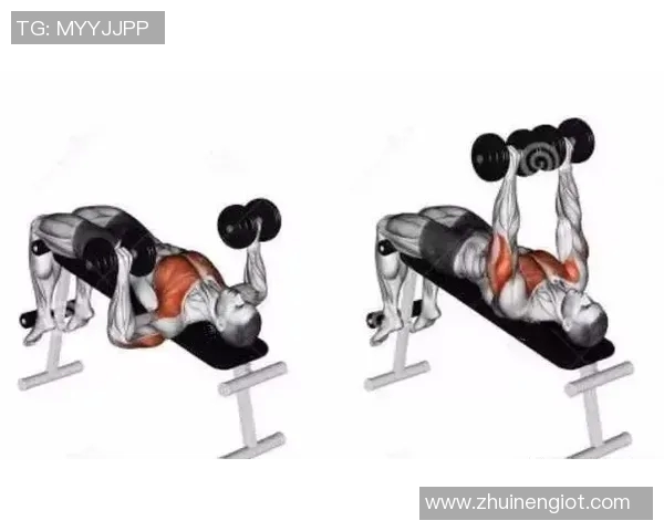 徒手与哑铃结合的胸肌锻炼方法全面解析与实用技巧分享